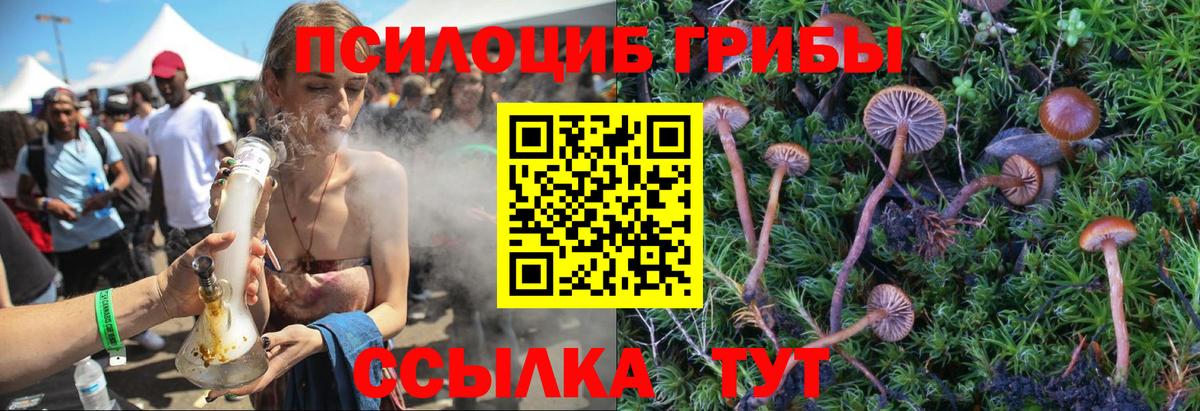 Псилоцибиновые грибы MAGIC MUSHROOMS  Вход с VPN  Якутск 